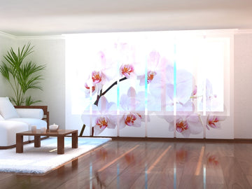 Set di 6 Tende a Pannello Orchidea Candida