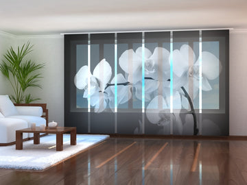 Set di 6 Tende a Pannello Orchidee Musicali in Bianco e Nero