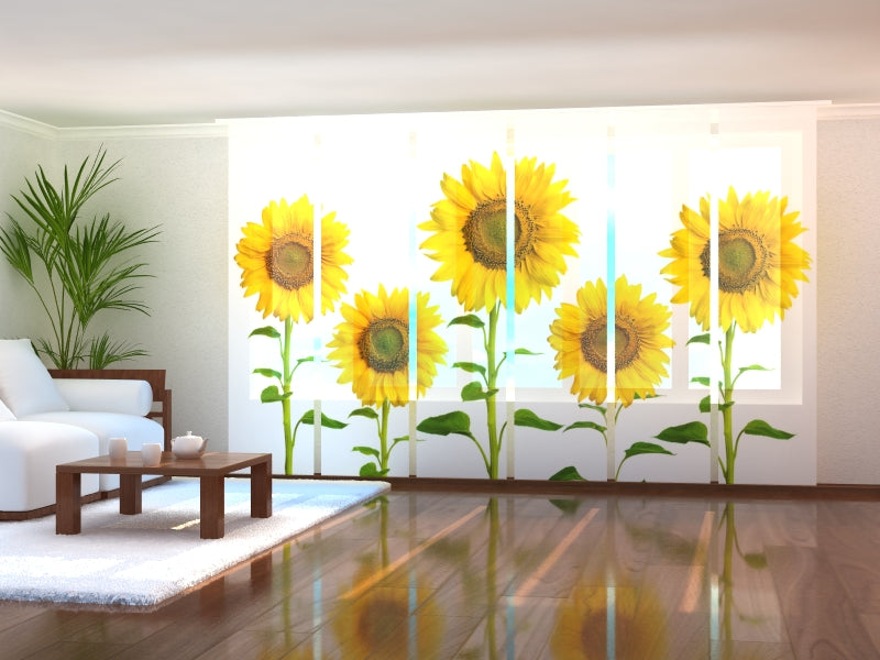 Set di 6 Tende a Pannello Girasoli Gialli Estivi