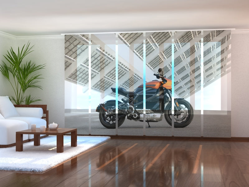 Set di 6 Tende a Pannello Super Moto Harley Davidson