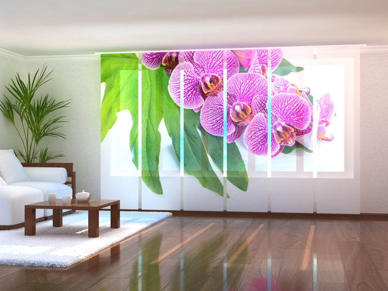 Set di 6 Tende a Pannello Orchidea Viola su Foglia Verde