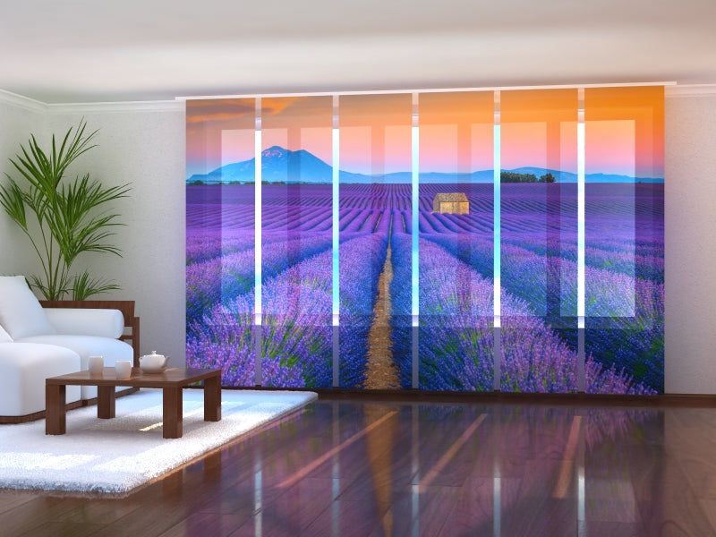 Set di 6 Tende a Pannello Meravigliosi Campi di Lavanda in Provenza