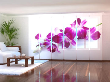 Set di 6 Tende a Pannello Orchidee Viola Cremisi