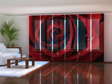 Set di 6 Tende a Pannello Rosa Rossa