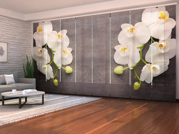 Set di 8 Tende a Pannello Grigio e Bianco