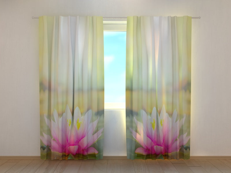 Tende Fiore di Loto Rosa al Sole del Mattino