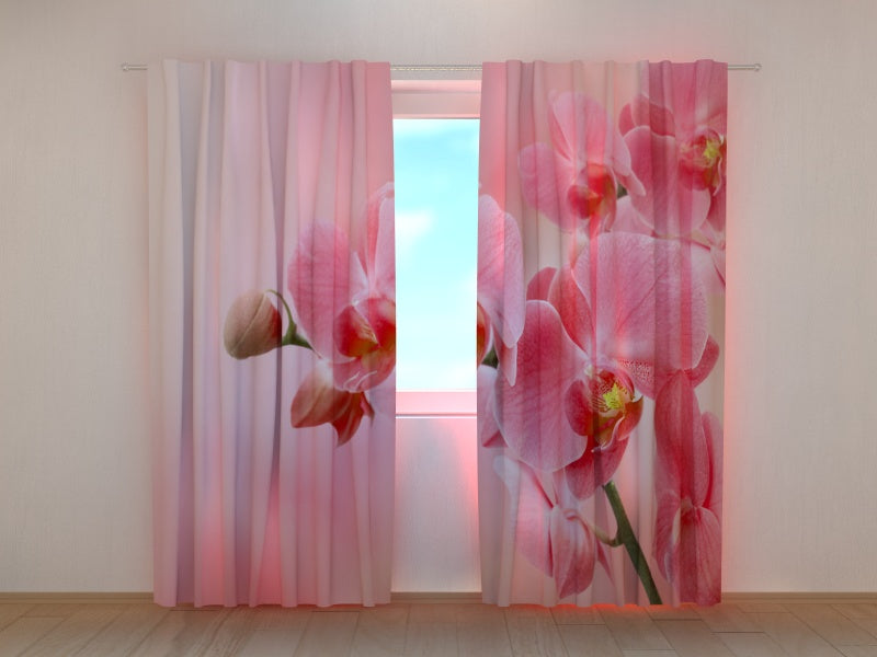 Tende Orchidea Rosa