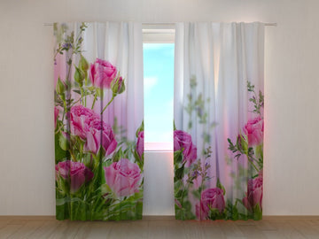 Tende Rose Rosa