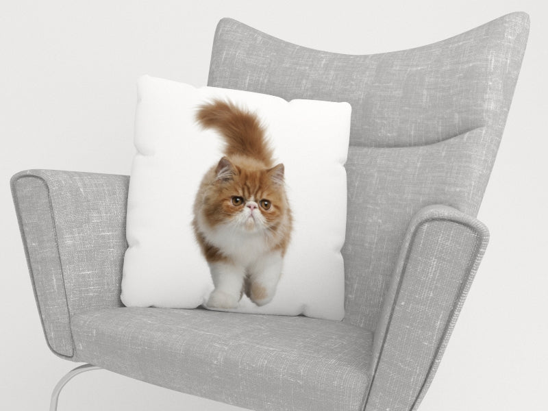 Federa per Cuscini Gatto Birichino
