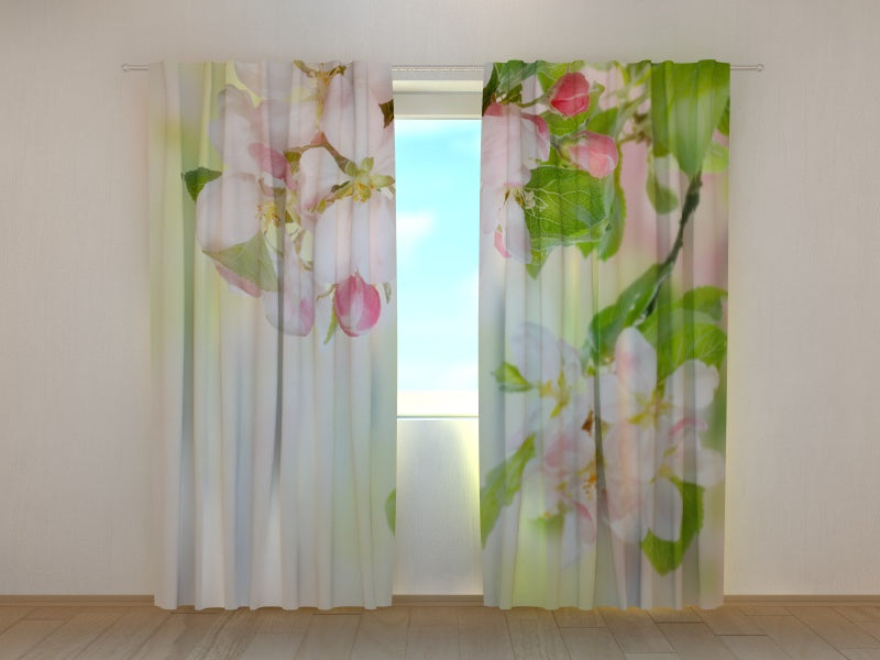 Tende - Melo Cotogno in Fiore