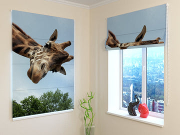 Tenda a Pacchetto. Giraffa - prezzo conveniente