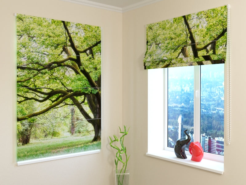 Tenda a Pacchetto Albero Verde