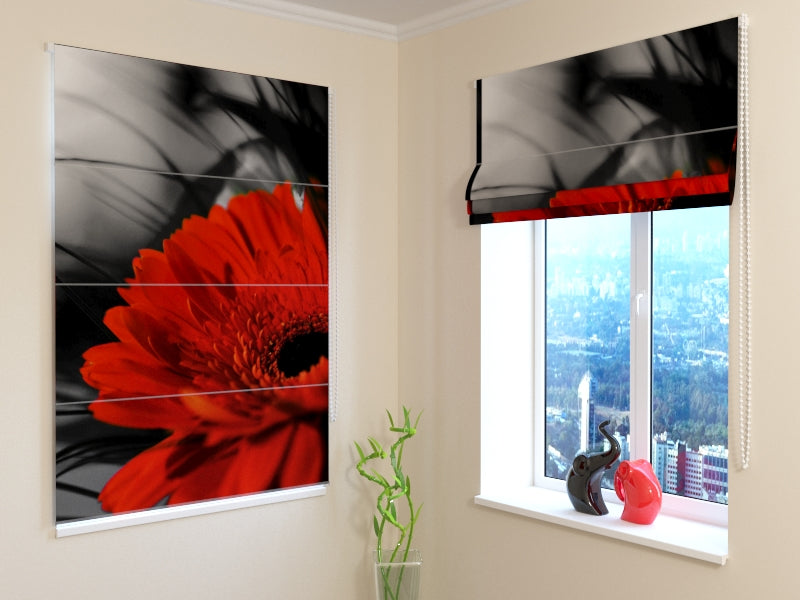 Tenda a Pacchetto Rosso e Nero