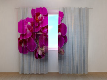 Tende Orchidea Color Lampone su Legno Grigio. Prezzo conveniente