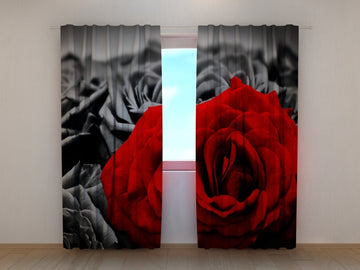 Tende Rosa Rossa in Bianco e Nero