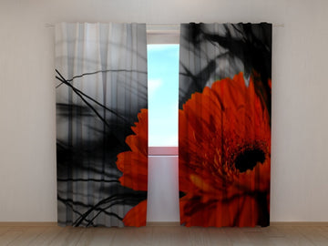 Tende Rosso e Nero