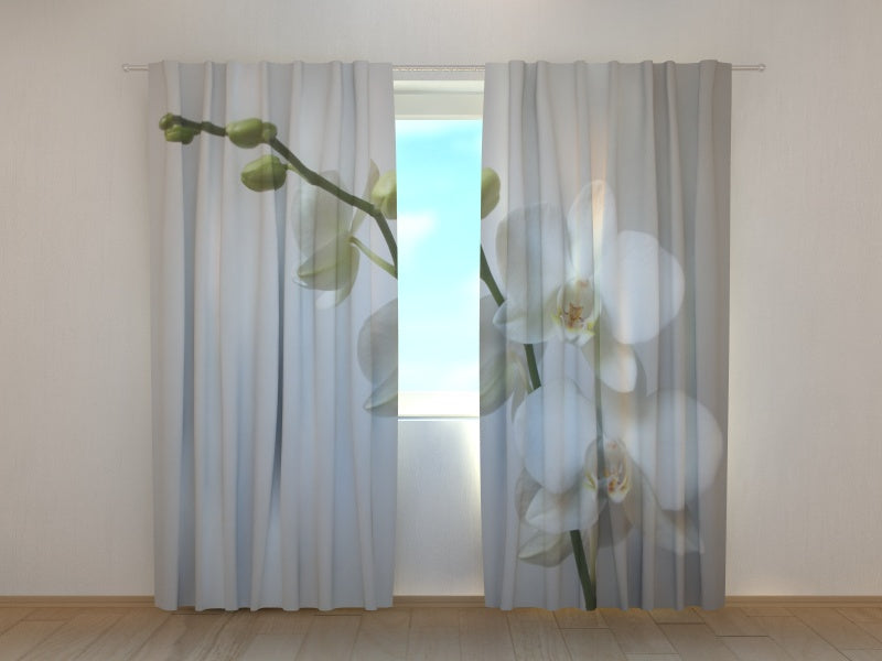 Tende Riga Orchidea. Prezzo conveniente