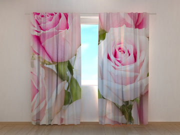 Tende Rose Reali