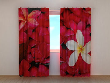 Tende Fiori Scarlatti