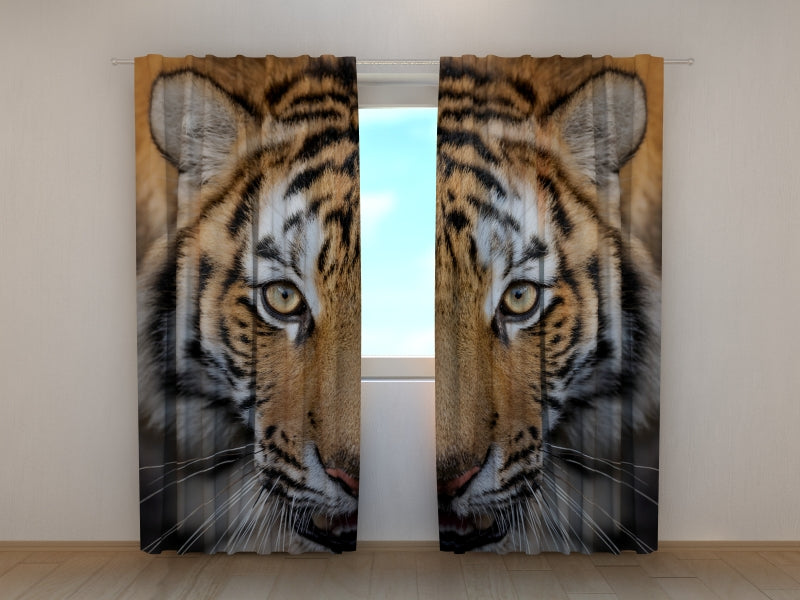 Tende Tigre Siberiana