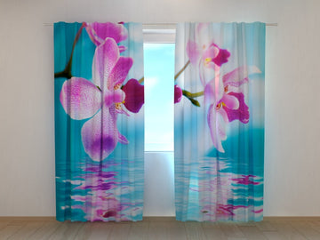 Tende Orchidee Azzurre