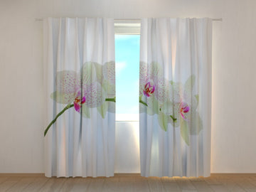 Tende Ramoscello di Orchidea Bianca. Prezzo conveniente
