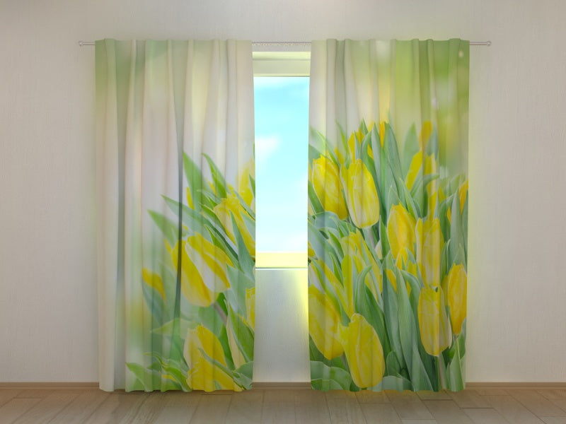 Tende Vivaci Tulipani Gialli Primaverili