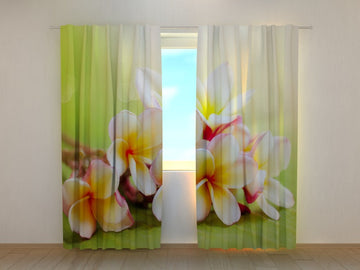 Tende Fiori Primaverili