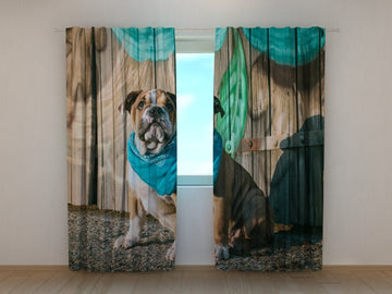 Tende Cucciolo di Bulldog Inglese Elegante