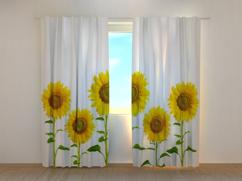 Tende Girasoli Gialli Estivi