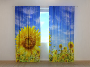 Tende Girasole