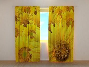 Tende Girasoli. Prezzo conveniente