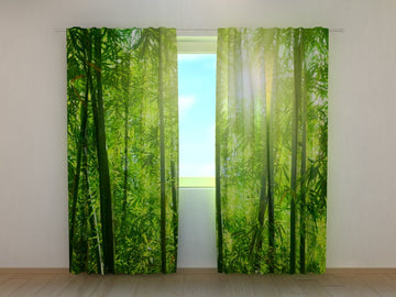 Tende Sole nella Foresta di Bambù