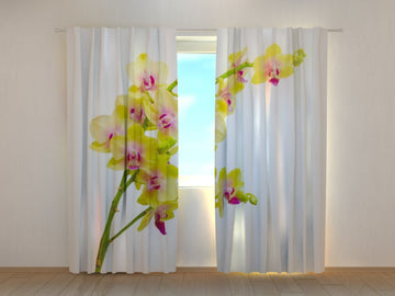 Tende Orchidea Solare 2