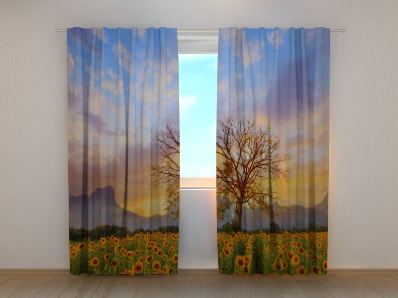 Tende Tramonto sul Campo di Girasoli