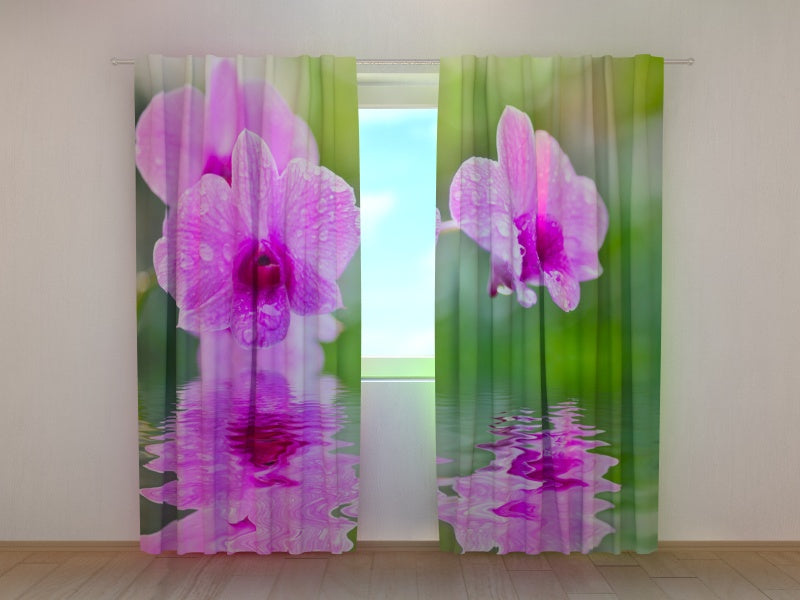 Tende Tre Orchidee