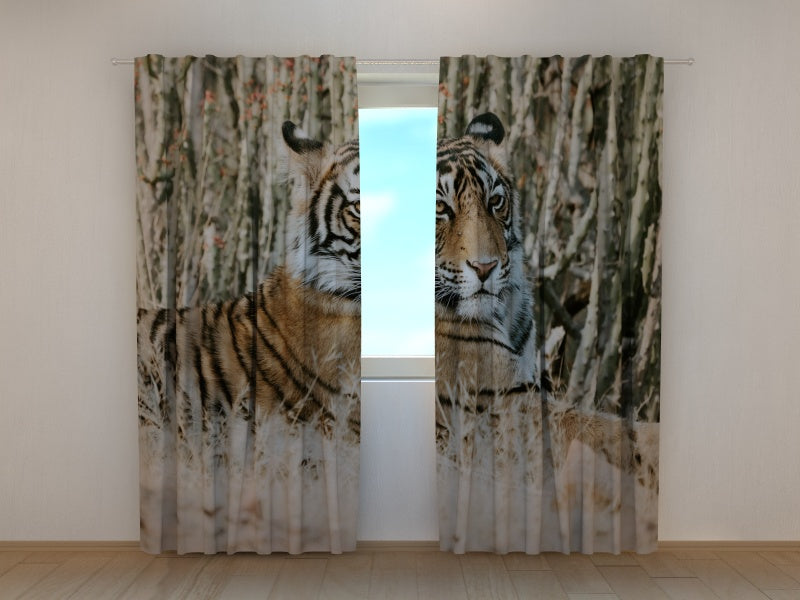 Tende Tigre Shayari