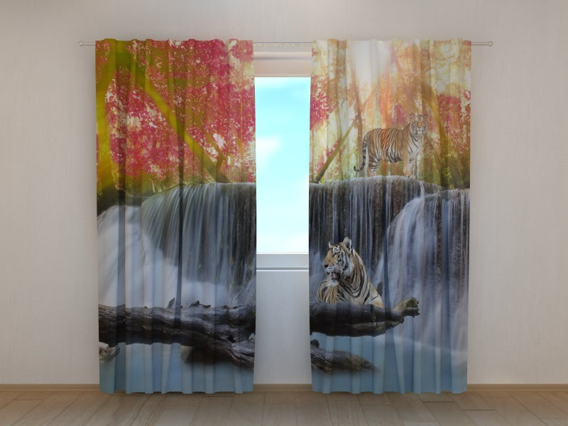 Tende Tigri vicino alla Cascata in Autunno