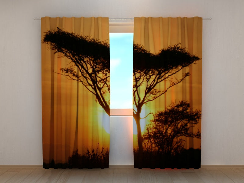 Tende Albero al Tramonto