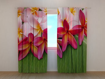 Tende Fiori Tropicali 3