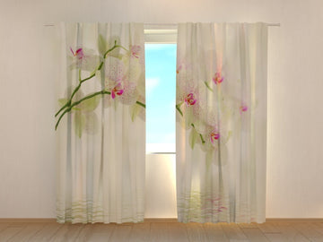 Tende - Fiori Bianchi