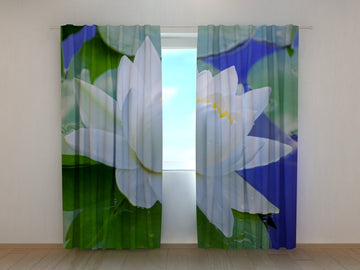 Tende - Fiore di Loto Bianco
