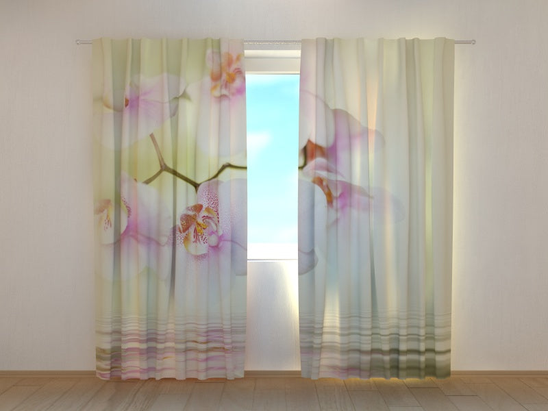 Tende Orchidea Bianca 2