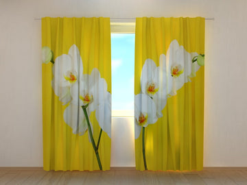 Tende Orchidee Bianche