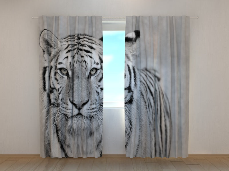 Tende Tigre Bianca