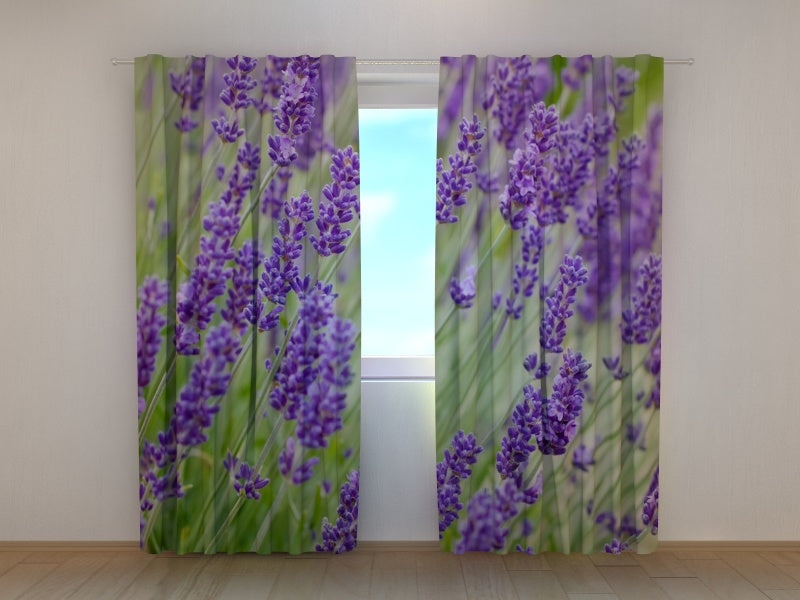 Tende Fiori di Campo