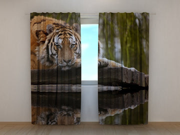 Tende La Saggezza della Tigre