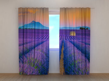 Tende Meravigliosi Campi di Lavanda in Provenza