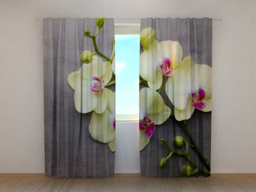 Tende Orchidee Gialle sul Grigio