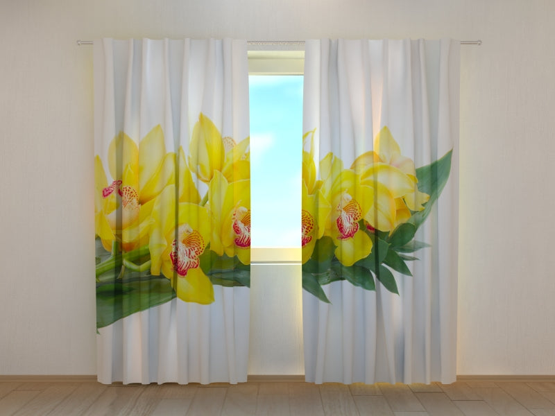 Tende Orchidee Gialle